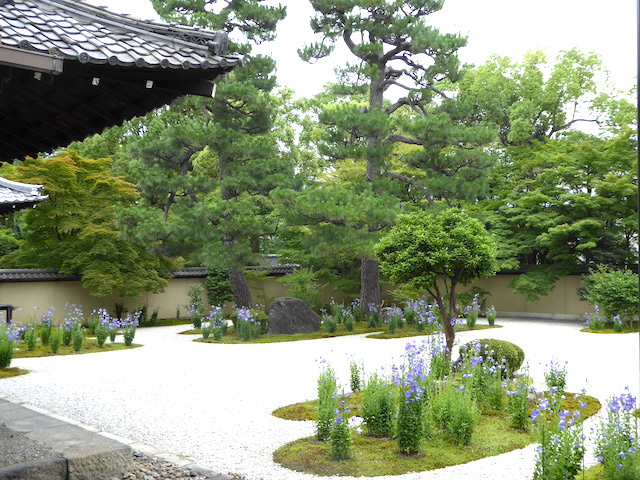 源氏の庭｜廬山寺