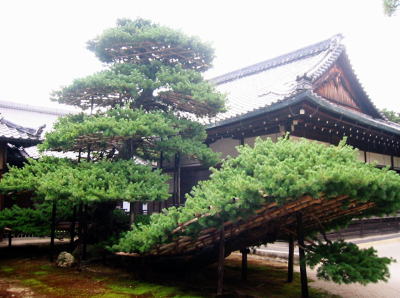 Kinkakuji