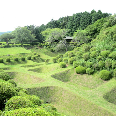 040山中城